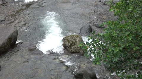 Fast flowing mountain stream. Stock Footage 98304804