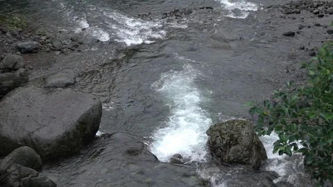 Fast flowing mountain stream. Stock-Footage 98407490