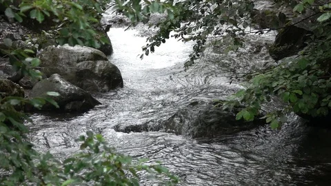 Fast flowing mountain stream. 스톡 동영상 98416504