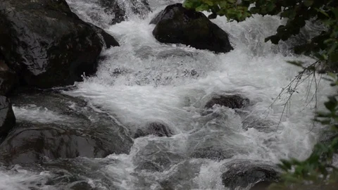 Fast flowing mountain stream. Stock Footage 98416533