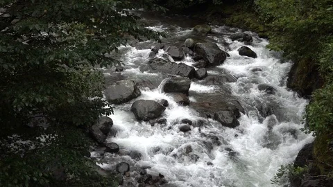 Fast flowing mountain stream. Vídeo Stock 98427709
