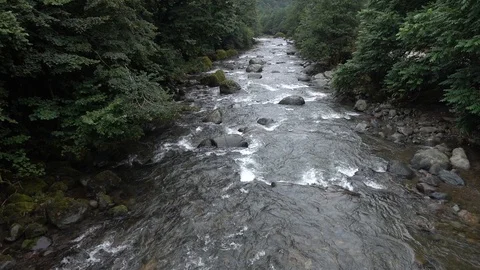 Fast flowing mountain stream. Video stock 98496382