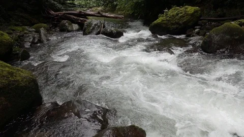Fast flowing mountain stream. Stock Footage 98500143