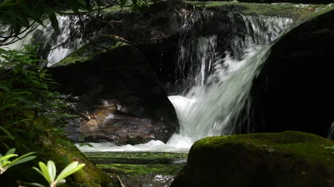 Fast flowing mountain stream Stock Footage 243383991