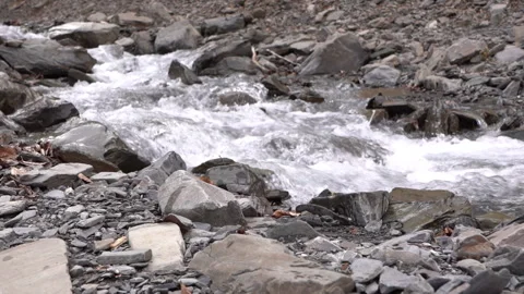 Fast-Flowing Mountain Stream Video stock 303657035