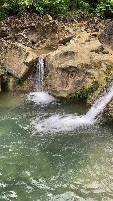 Fast flowing mountain stream in the forest Stock Footage 292203596