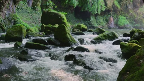 Fast flowing mountain stream with moss covered rocks in Oita Japan Vídeos de archivo 336772373
