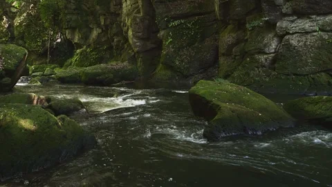 Fast flowing mountain stream with moss covered rocks in Oita Japan Vídeos de archivo 336772374