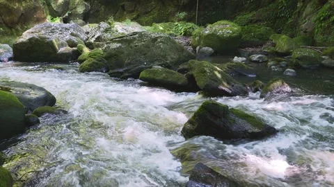 Fast flowing mountain stream with moss covered rocks in Oita Japan Vídeos de archivo 336772650