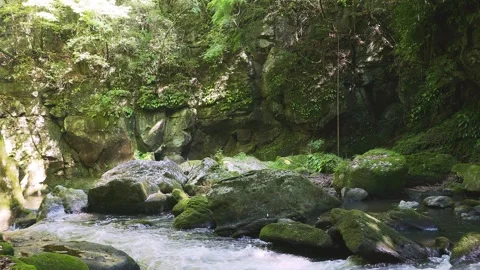 Fast flowing mountain stream with moss covered rocks in Oita Japan Vídeos de archivo 336772723