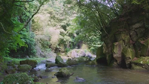 Fast flowing mountain stream with moss covered rocks in Oita Japan Vídeos de archivo 336772939