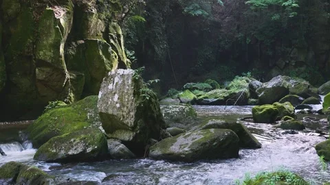 Fast flowing mountain stream with moss covered rocks in Oita Japan Vídeos de archivo 336773216