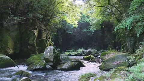 Fast flowing mountain stream with moss covered rocks in Oita Japan Vídeos de archivo 336773223