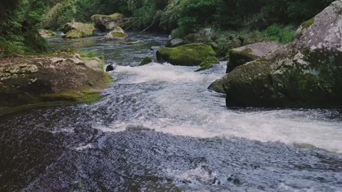 Fast flowing mountain stream with moss covered rocks in Oita Japan Vídeos de archivo 336773433