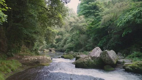 Fast flowing mountain stream with moss covered rocks in Oita Japan Vídeos de archivo 336773441