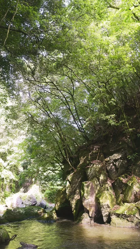 Fast flowing mountain stream with moss covered rocks in Oita Japan Vídeos de archivo 336928788