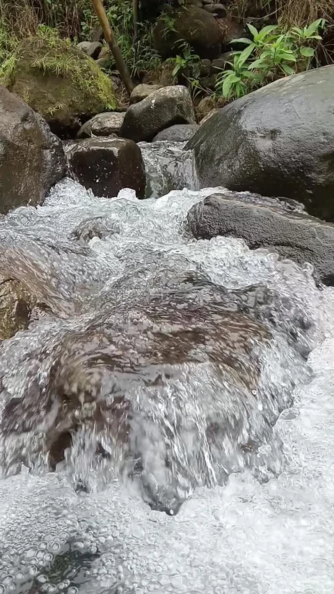 Fast Flowing Mountain-Like Stream Over Large Rocks Stock Footage 329787170