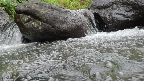 Fast flowing mountain stream over rocks in tropical forest Stock Footage 329883577