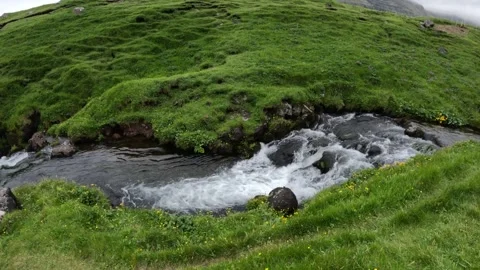 Fast flowing mountain stream through green meadows, Faroe Islands Vidéo 339024894