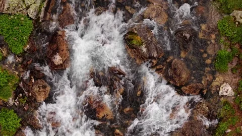 Fast flowing mountain stream with white water rapids Video stock 343739241