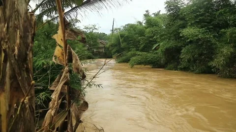 Fast-flowing muddy river rushing Stock Footage 321036246