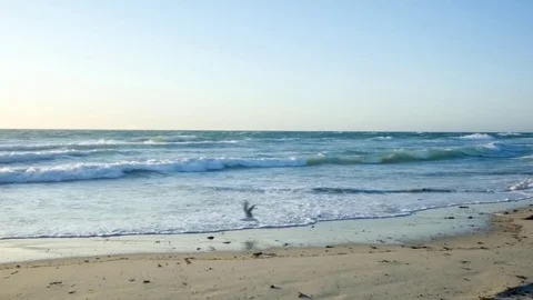 Fast flowing ocean waves crashing against beautiful beachfront on windy sun.. Stock Footage 75395499