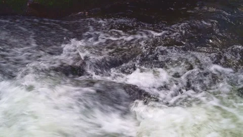 Fast-flowing rapids at Golitha Falls Cornwall UK | Nature stock footage Stock Footage 333015988