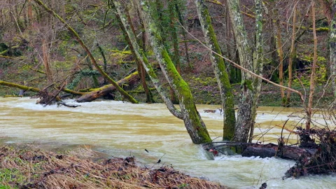Fast flowing river after dam discharge Stock Footage 328971650