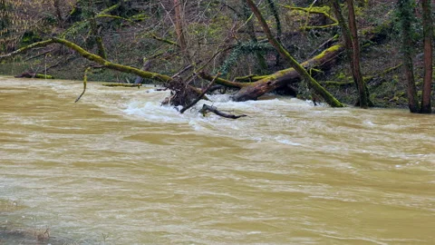 Fast flowing river after dam discharge Vídeos de archivo 328971667