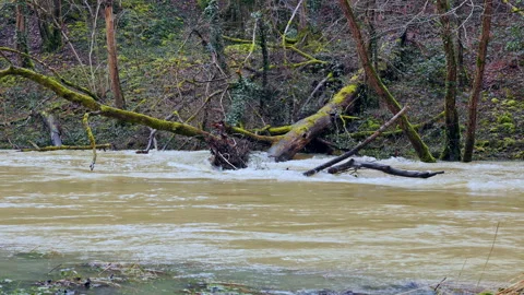 Fast flowing river after dam discharge Stock Footage 328971677