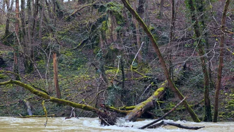 Fast flowing river after dam discharge Stock Footage 328971758