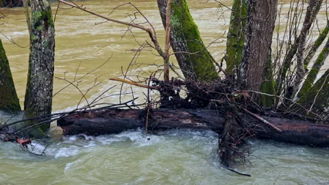 Fast flowing river after dam discharge Stock Footage 328971771