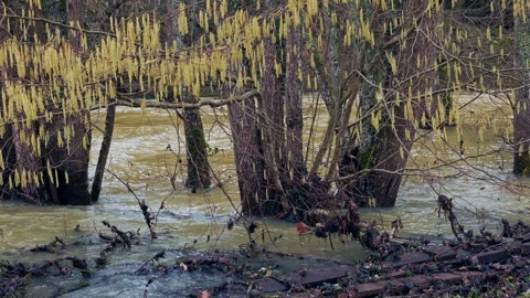 Fast flowing river after dam discharge Stock Footage 328971798