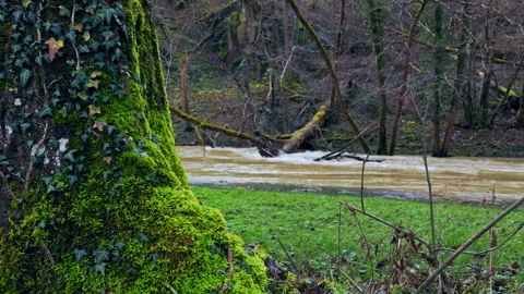 Fast flowing river after dam discharge Stock Footage 328971799