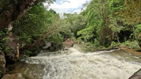 Fast Flowing River and Cascading Water at 9 Steps Waterfall in Kampot Jungle Stock Footage 342212774