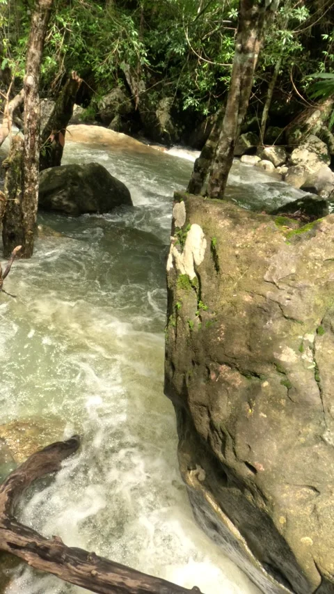 Fast Flowing River and Cascading Water at 9 Steps Waterfall in Kampot Jungle Stock Footage 342214040