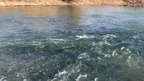 A fast flowing river with beautiful views of wildlife. Stock Footage 304162105