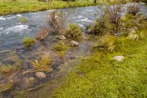 Fast Flowing River Bordered by Natural Vegetation Stock Photos