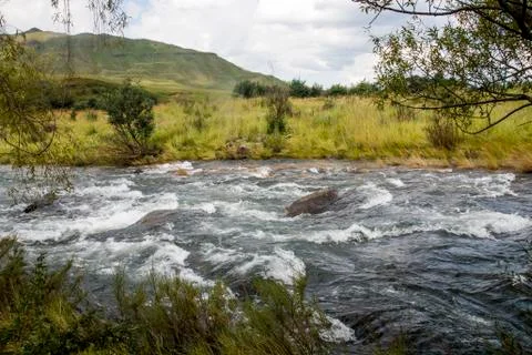 Fast Flowing River Bordered by Natural Vegetation Stock Photos