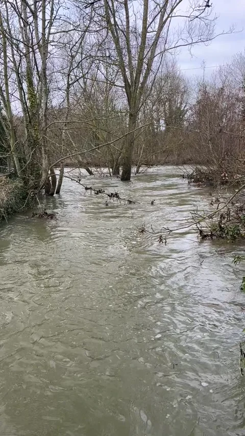 Fast-flowing River Brett after heavy rainfall in Suffolk, UK Stock Footage 328255390