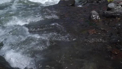 Fast-flowing river current churning and splashing over dark volcanic rocks Stock Footage 342816657