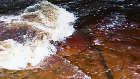 Fast flowing river, flowing over rocks, with white water, Ayrshire, Scotland, UK Stock Footage 219639700