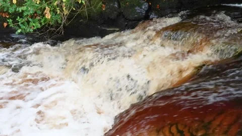 Fast flowing river, flowing over rocks, with white water, Ayrshire, Scotland, UK Stock Footage 219639708