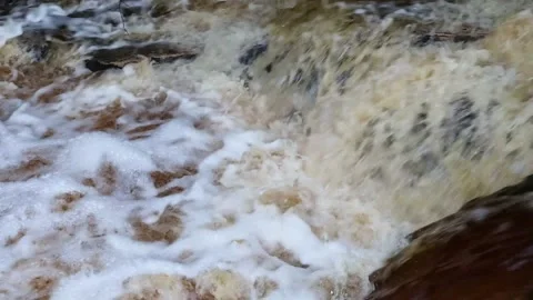 Fast flowing river, flowing over rocks, with white water, Ayrshire, Scotland, UK Stock Footage 219639715
