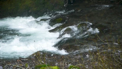 Fast Flowing River Stock Footage 93488019