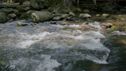 Fast-Flowing River Stock Footage 199377117