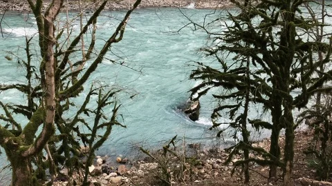 Fast flowing river in forest Stock Footage 88774899