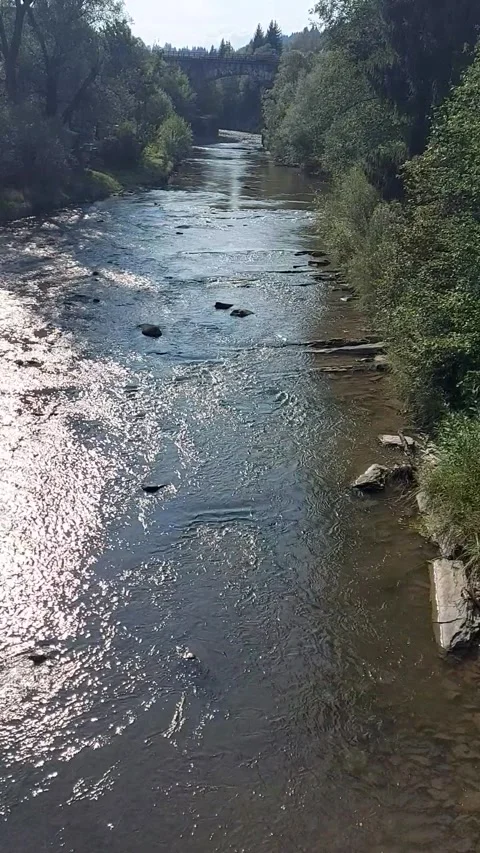 A fast-flowing river. Landscape of forests and rivers. View of the river from Stock Footage 322943840