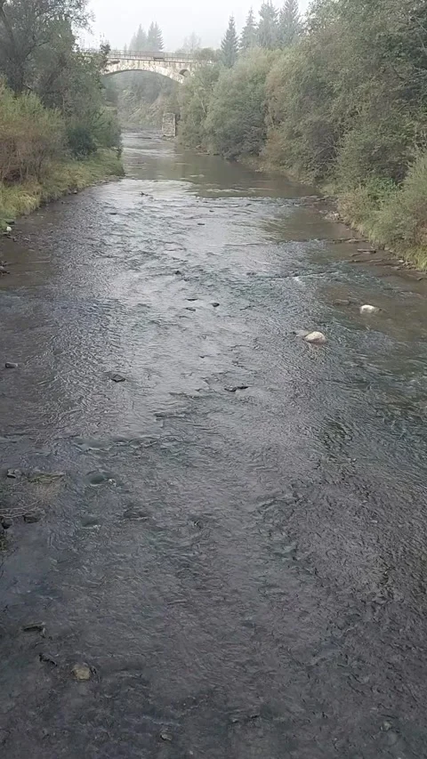 A fast-flowing river. Landscape of forests and rivers. View of the river from Stock Footage 324087945