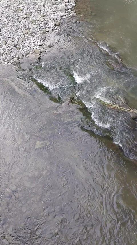 A fast-flowing river. Landscape of forests and rivers. View of the river from Stock Footage 326354864